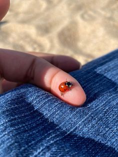 a ladybug sitting on top of someone's finger