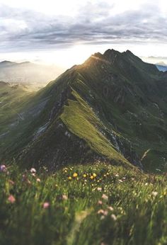 the sun shines brightly through the clouds on top of a green mountain with wildflowers in the foreground