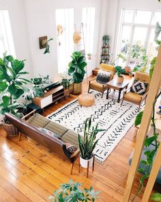 a living room filled with furniture and lots of plants on top of a wooden floor