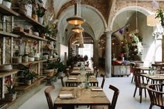 the interior of a restaurant with tables, chairs and shelves filled with potted plants