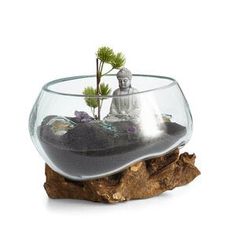 a glass bowl filled with sand and plants