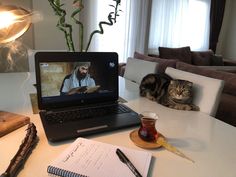 a cat is sitting on the table next to a laptop computer and cup of coffee