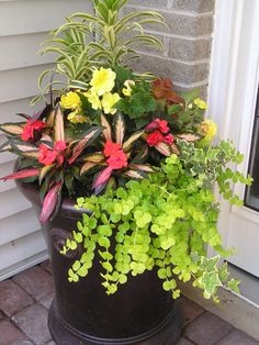 a potted planter filled with colorful flowers