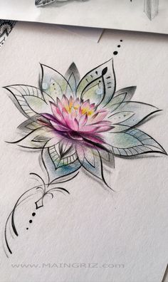 a watercolor drawing of a pink flower on white paper