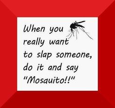 a black and white photo with the words when you really want to slap someone, do it and say mosquito