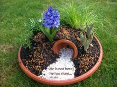 there is a potted plant with flowers in it on the grass, and a sign that says he is not here