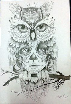 a pencil drawing of an owl with feathers on it's head and the eyes are drawn