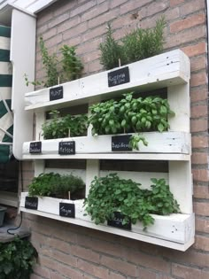 an outdoor herb garden with herbs and herbs growing on it's shelves in front of a brick wall