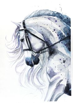 a watercolor painting of a white horse