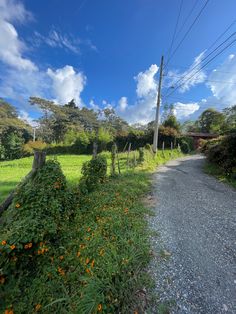 a dirt road surrounded by green grass and orange flowers