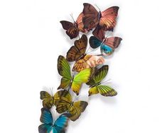 multicolored butterflies flying in the air on a white background