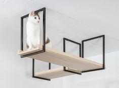 a white cat sitting on top of a shelf in a room with black metal brackets