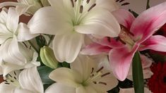 white and pink flowers are in a vase