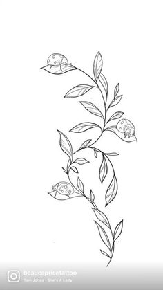 a drawing of leaves and flowers on a white background