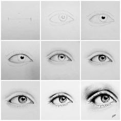 several different types of eyes in various positions