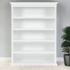 an empty white bookcase next to a potted plant