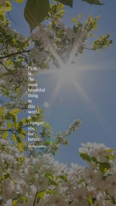 the sun shines brightly through some white flowers on a tree with an inspirational quote