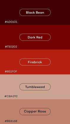 the color scheme is shown in red, brown and black colors with different font options