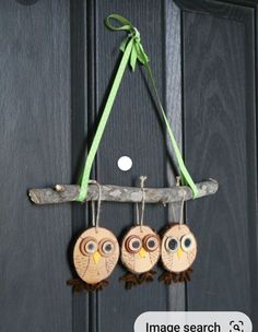 three owls are hanging from a branch with green ribbon on the front door, and one owl has two eyes