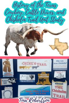 an image of a longhorn bull with the text history of the texas county cattle and chicken tail out study