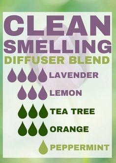 Make Your House Smell Amazing, Homemade Cleaning