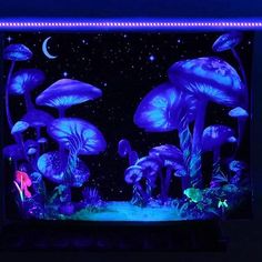 an aquarium filled with lots of blue mushrooms and stars in the night sky, under a full moon