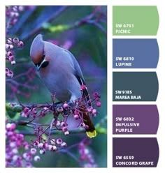 a bird sitting on top of a tree filled with purple and green leaves in color swatches