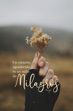 a person holding a plant in their hand with the words,'un coranzo agordio es un iman de milgros '