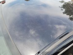 the hood of a black car with trees in the background and sky reflected on it