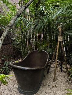 an old bath tub sitting in the middle of a garden with lots of palm trees