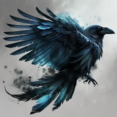 a black bird with blue wings flying through the air