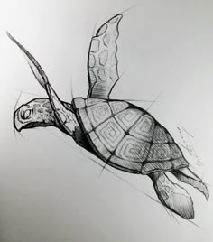 a drawing of a turtle flying through the air