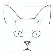 a drawing of a cat's face is shown in the shape of a triangle