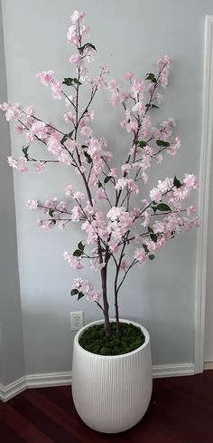 a white potted plant with pink flowers in it on a wooden floor next to a gray wall