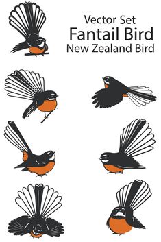 an orange and black bird is flying in the air with other birds around it's neck