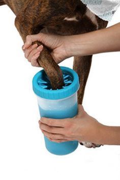 a dog drinking out of a blue cup with its owner's hand holding it