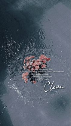 the word clean is written in water with pink flowers floating on it and an overcast background