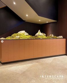 an indoor fish tank with rocks and moss in the center, under a slanted ceiling