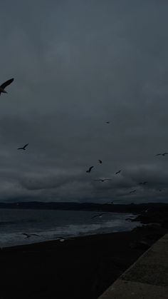 a flock of birds flying over the ocean on a cloudy day with dark clouds in the sky