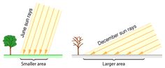 the different types of trees are shown in this diagram