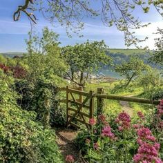 a wooden gate in the middle of a lush green field with pink flowers on either side