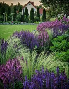 purple and green plants in front of a white house