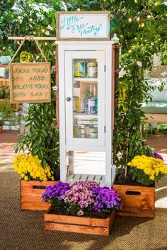 a display case filled with lots of flowers next to plants and potted planters