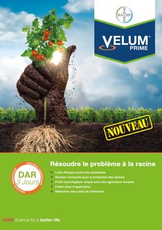 a poster with a hand holding a plant and the words nouveau written in french