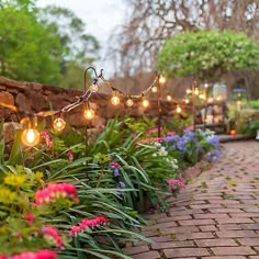 a brick path with flowers and lights strung from it