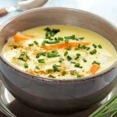 a bowl of soup with carrots and green onions