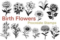 the birth flowers procreate stamps are available for use in crafts, cards and more