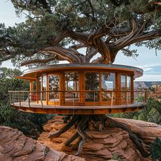 a tree house built into the side of a cliff