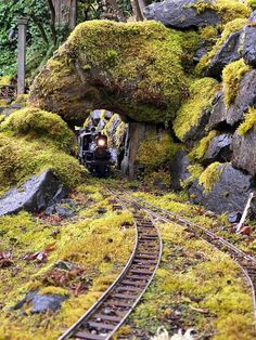 a train is coming out of a tunnel with moss growing on the rocks and trees