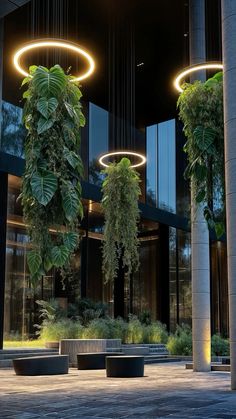 some plants are hanging from the ceiling in front of a building with large windows and round planters